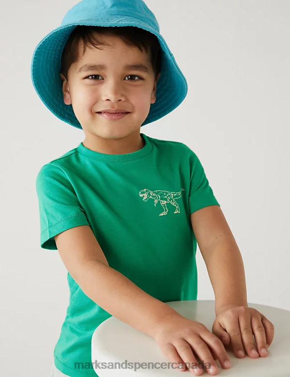 Kids Green Mix Clothing Marks & Spencer Pure Cotton Dinosaur Print T-Shirt 20VTD8543 - Marks and Spencer outlet