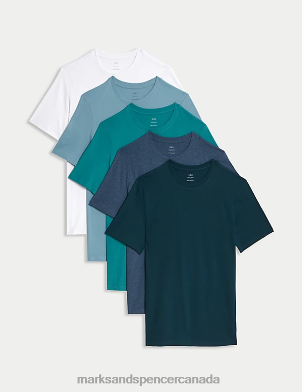 Men Pale Blue Mix Clothing Marks & Spencer 5pk Pure Cotton Crew Neck T-Shirts 20VTD6175 - Marks and Spencer online